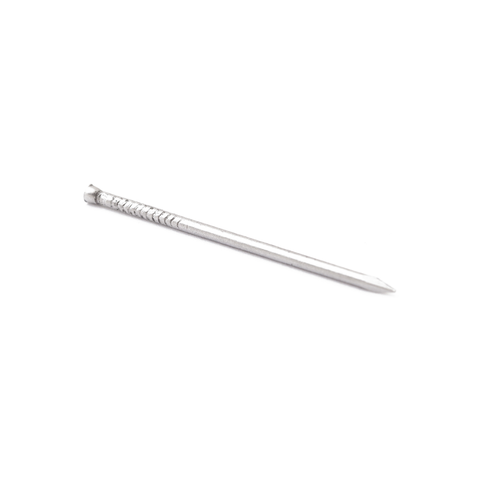 91009505_LARGE.jpg