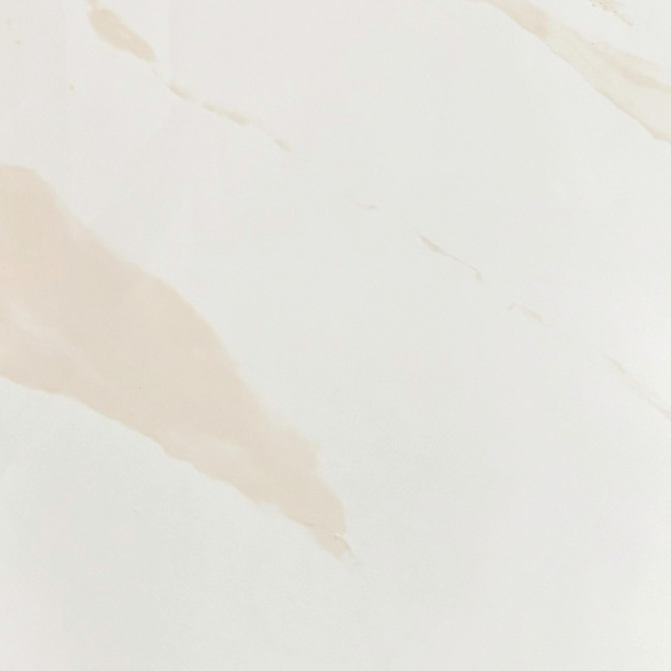 91032038_LARGE.jpg